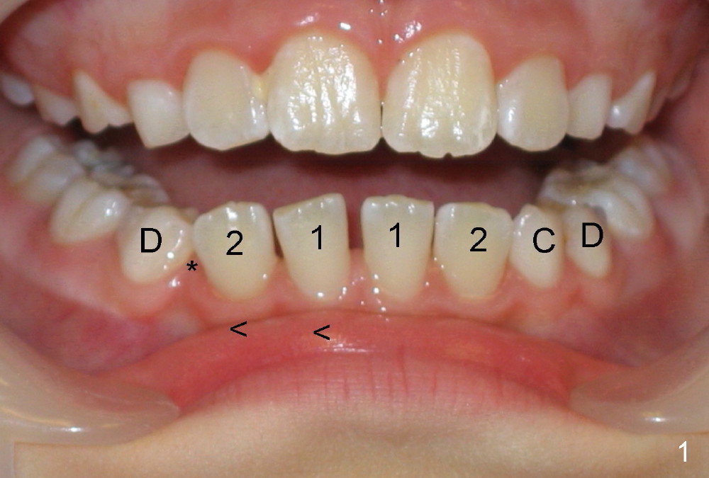 dental-education-lecture